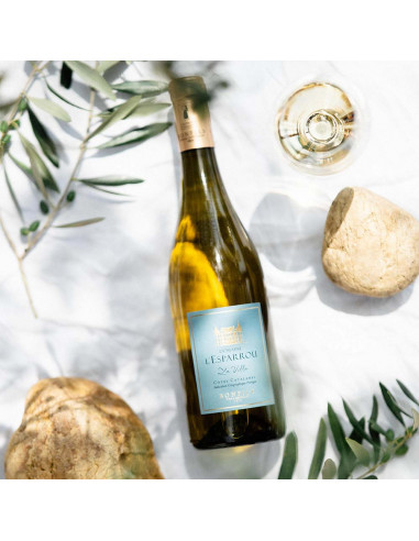 DOMAINE DE L'ESPARROU - La Villa white