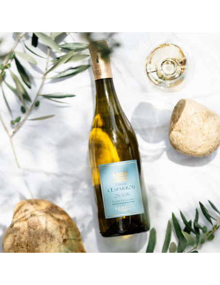 DOMAINE DE L'ESPARROU - La Villa white