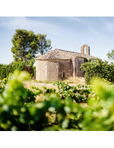 CHÂTEAU AUBARET - Merlot rouge 2