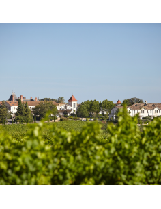 Château St Pierre de Serjac