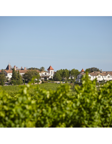 copy of Gourmet Walk at Château St...