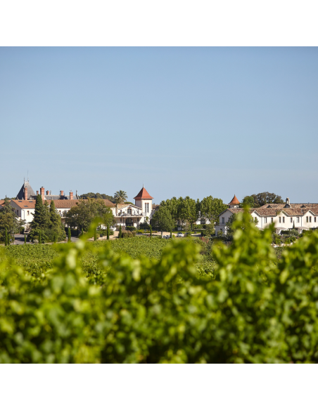 copy of Gourmet Walk at Château St Pierre de Serjac - May 16th 2026
