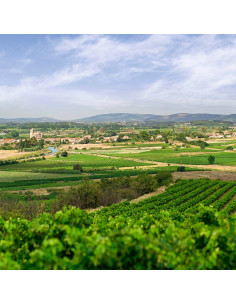 Domaine de Cibadiès - Syrah Grenache West Side 2