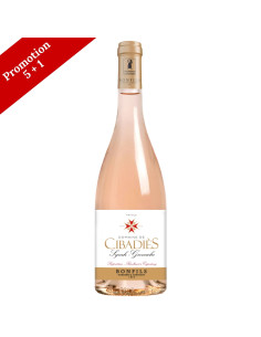 Domaine de Cibadiès - Syrah Grenache