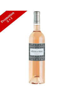 St Pierre de Serjac - Pinot rosé