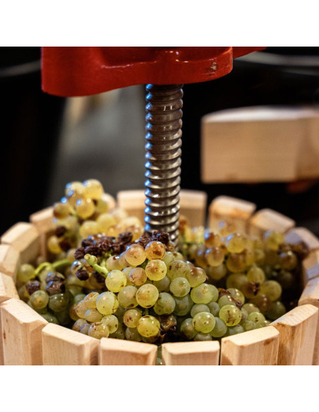 From the vine to the glass workshop