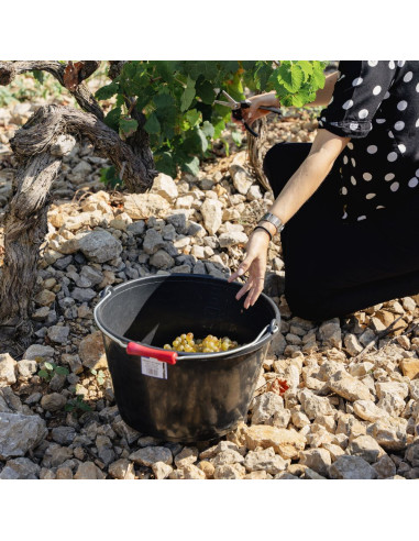 From the vine to the glass workshop